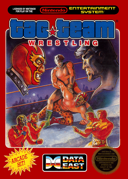 Tag Team Wrestling NES