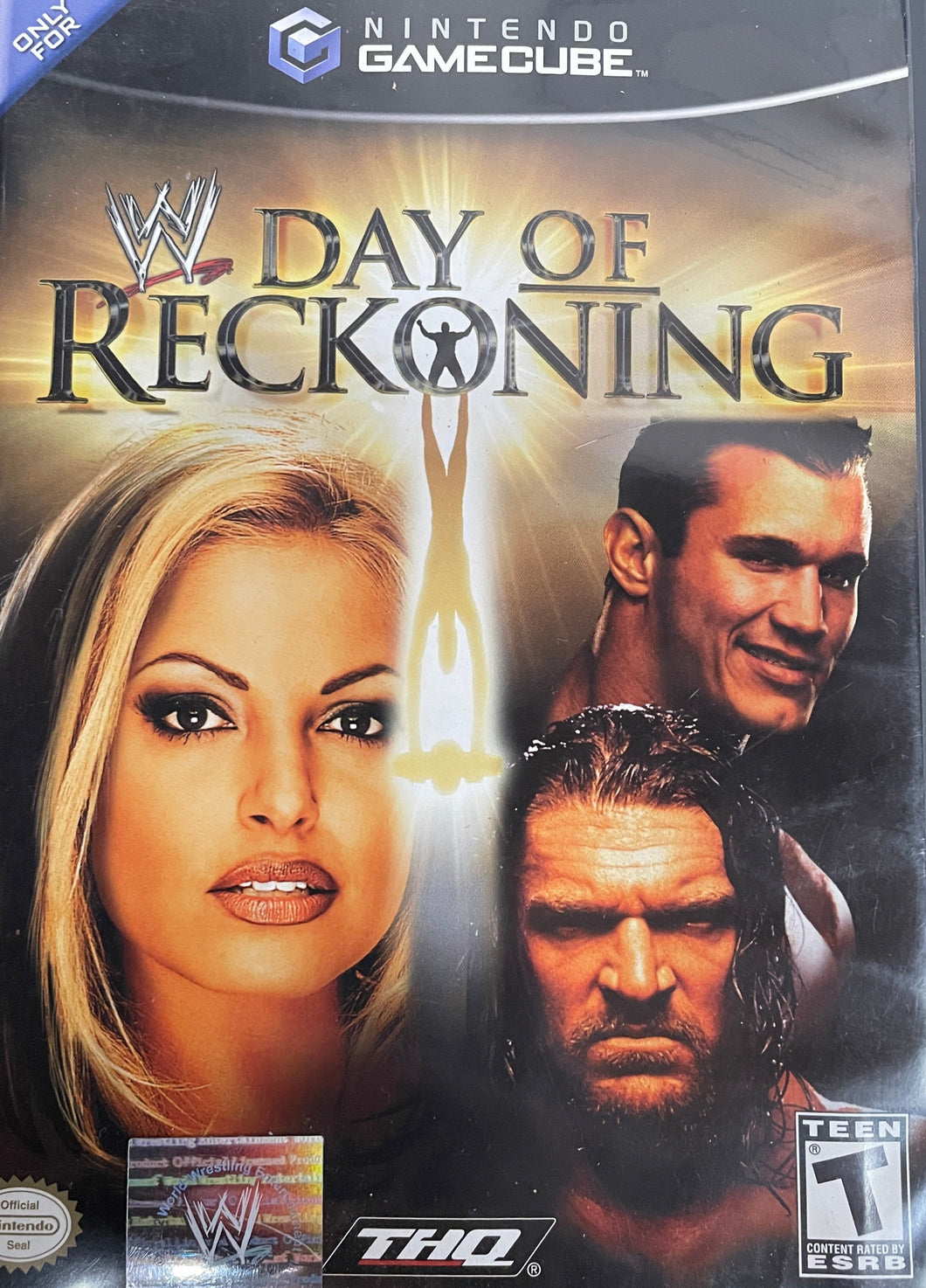 WWE Day Of Reckoning Gamecube